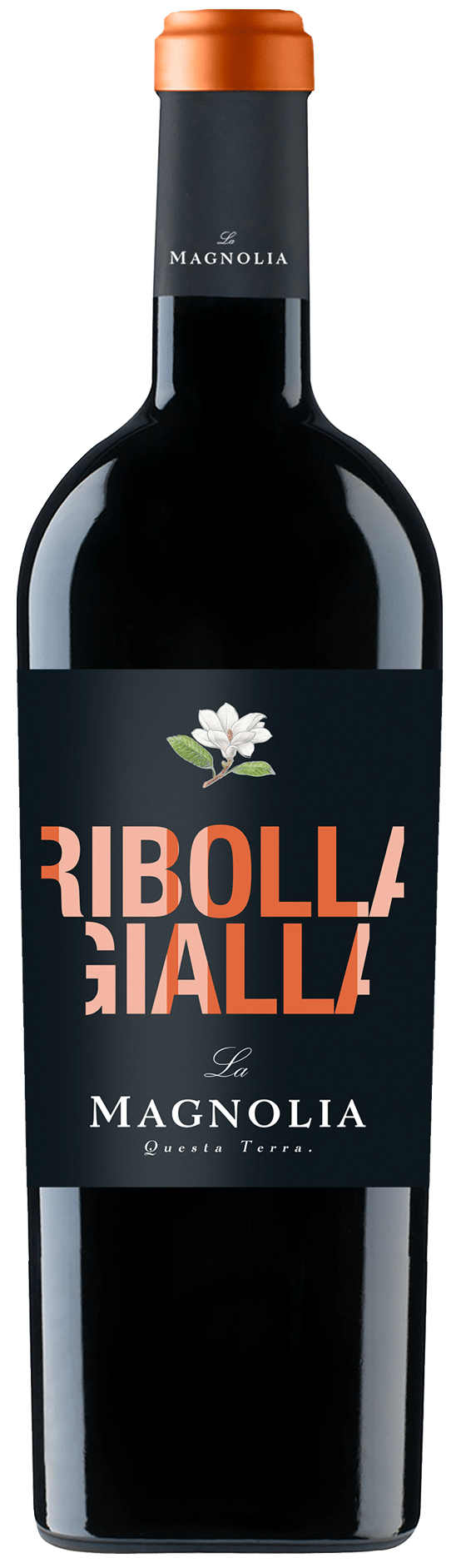 Colección Italia