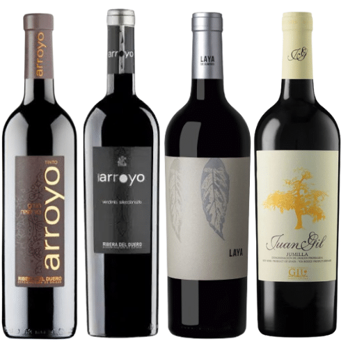Colección Burgundy