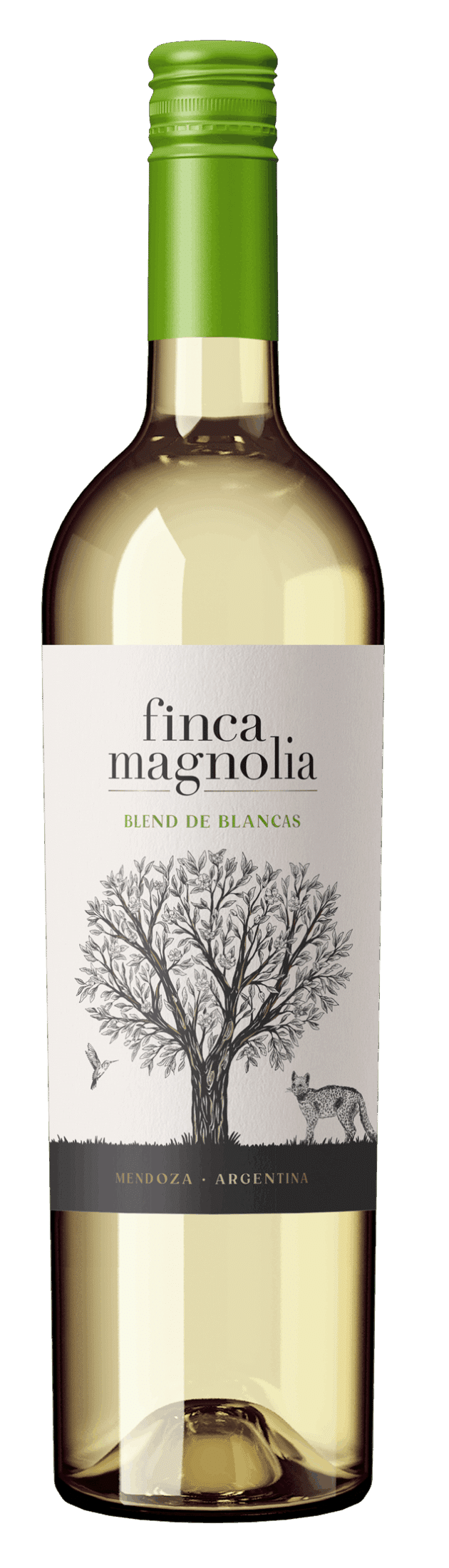 Colección Experiencia Finca Magnolia