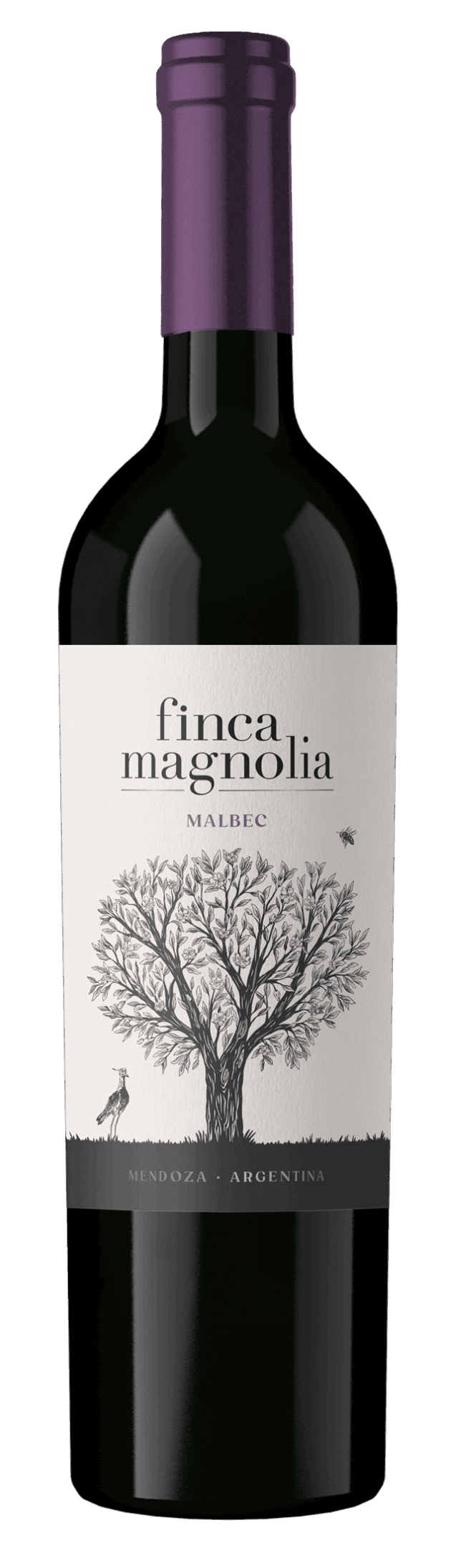 Colección Experiencia Finca Magnolia